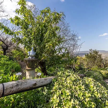 Akivillas Village فيلة