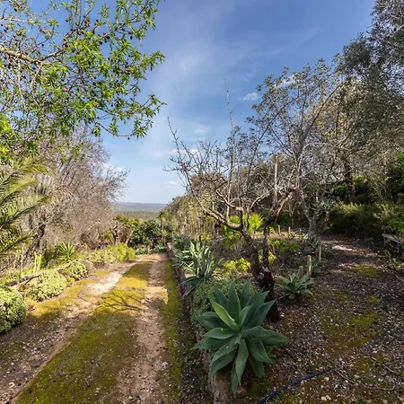 فيلة Akivillas Village *